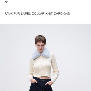 Zara Faux fur
